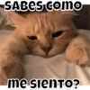 SABES Como
me sienTO?