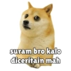 Kocheng&doge slebewww 11