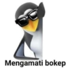 Pinguin 21