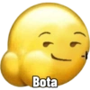 Bota