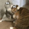 eu VC