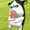 Filter sapi tiktok  11