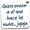 Notas 16
