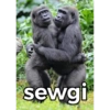 sewgi