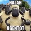 Sesat 12