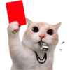 Gatitos para el chat 🫪 2 6