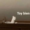 Toy bien