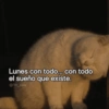 Lunes con todo... con todo el sueño que existe. @i'm_seis