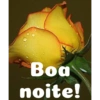 Boa noite Flores 28