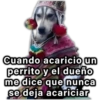 Cuando acaricio un perrito y el dueño me dice que nunca se deja acariciar