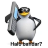 Pinguin 15