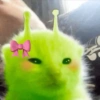 Memes - Gato Alien Verde 🟢🐈 10