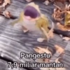 Meme kata dan pengetahuan 13