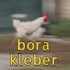 Figurinhas da boa 15