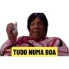 Minhas figurinhas 7