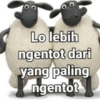 Wkwk 5