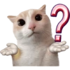 Gatitos para el chat 🫪 2 8