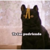 Tetas pudriendo