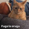 Cómo q me despida bien? 🤨 7