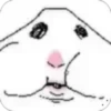 Hamster meme 2 12