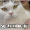 SOPAN KH BGITU?