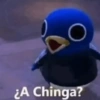 ¿A Chinga?