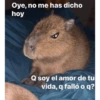 MEMES DE TWITTER 2 9