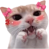Gatitos para el chat 🫪 2 5