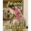 Para os românticos 🥰❤️💖 5