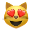 Emojis iphone 25