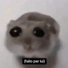 Cricetino Sad Hamster 18