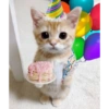 2025 trend gifs 18