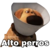 @SoyChooqomitq
Alto perros