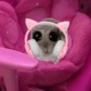 Cricetino Sad Hamster 29