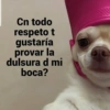 😎Shitpost Amor 4k❤️ 24