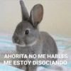 Animales Random 2🌸💥 21
