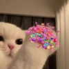 Reações de amor 11