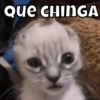 Michis🐱 6