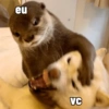 eu VC