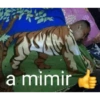 Shitposter 20