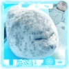 Foca adorável 🦭 7