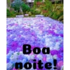 Boa noite Flores 21