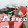 não sei amar pouco 5