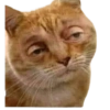 Sad memes 14