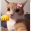 ꒰ ´animals with bows ꒱ 6