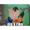 oie k riko