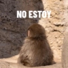 Monkys  7