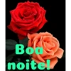 Boa noite Flores 26