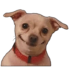 Payi