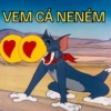 MANDA PRO SEU AMORZIN 15